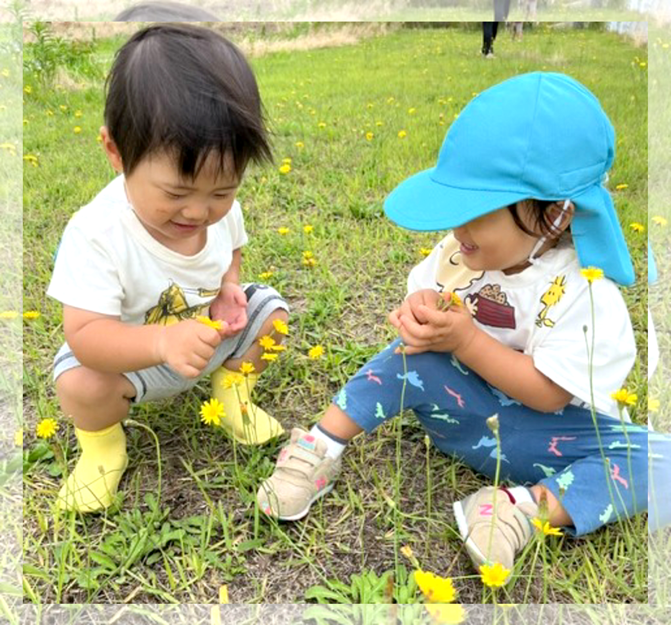 みんなの森 どんぐり保育園