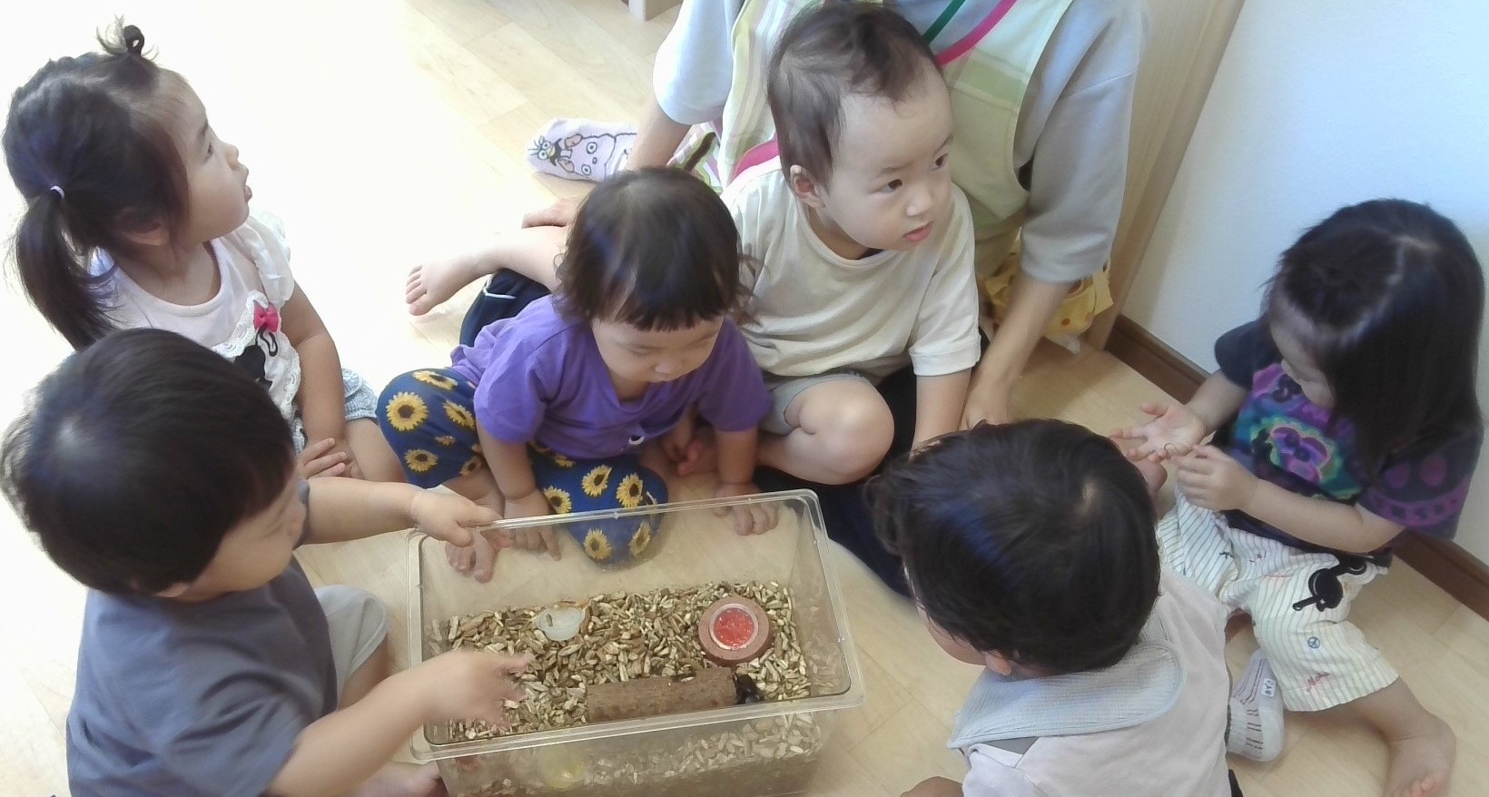 みんなの森 どんぐり保育園 園での生活