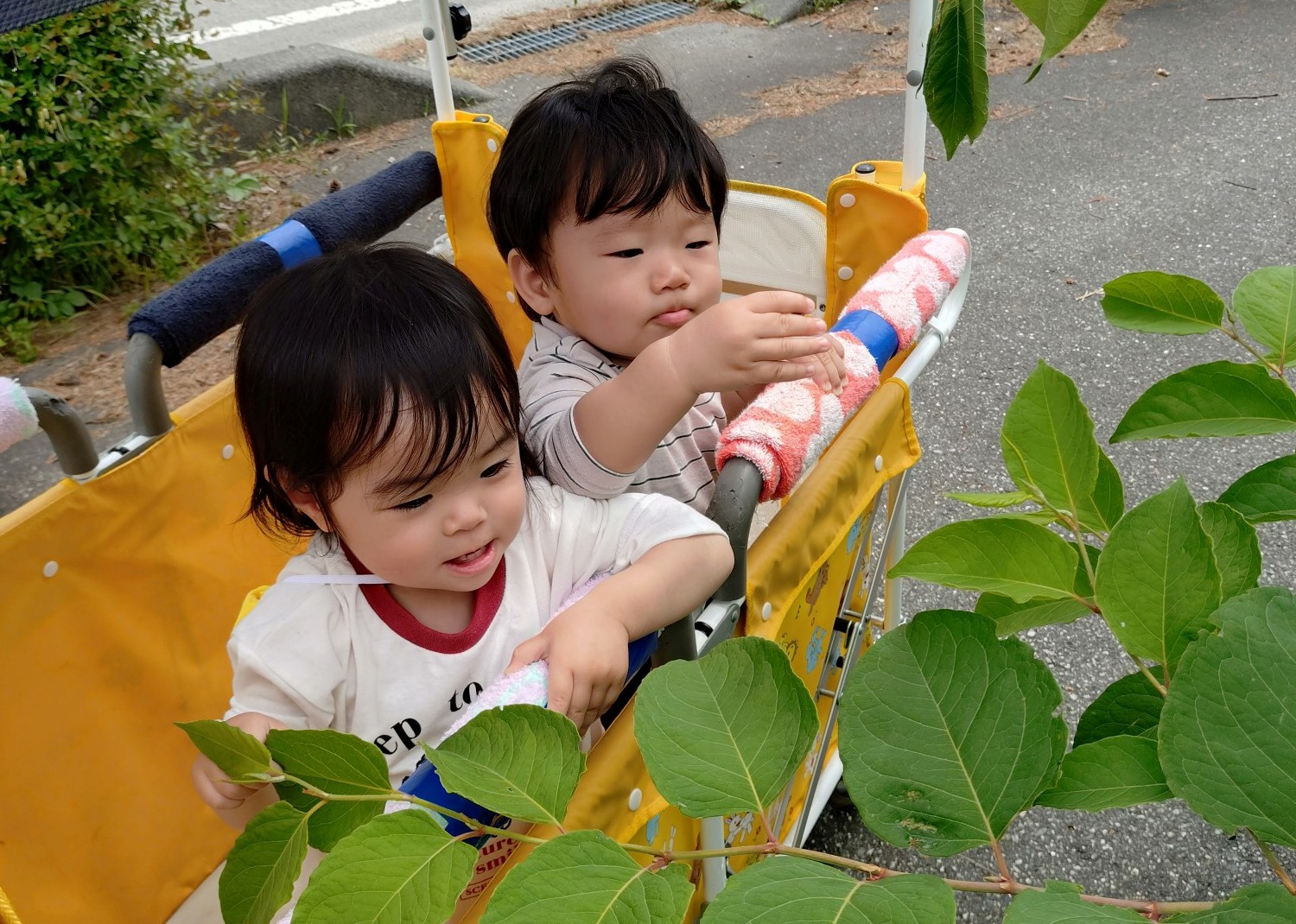 みんなの森 どんぐり保育園 園での生活